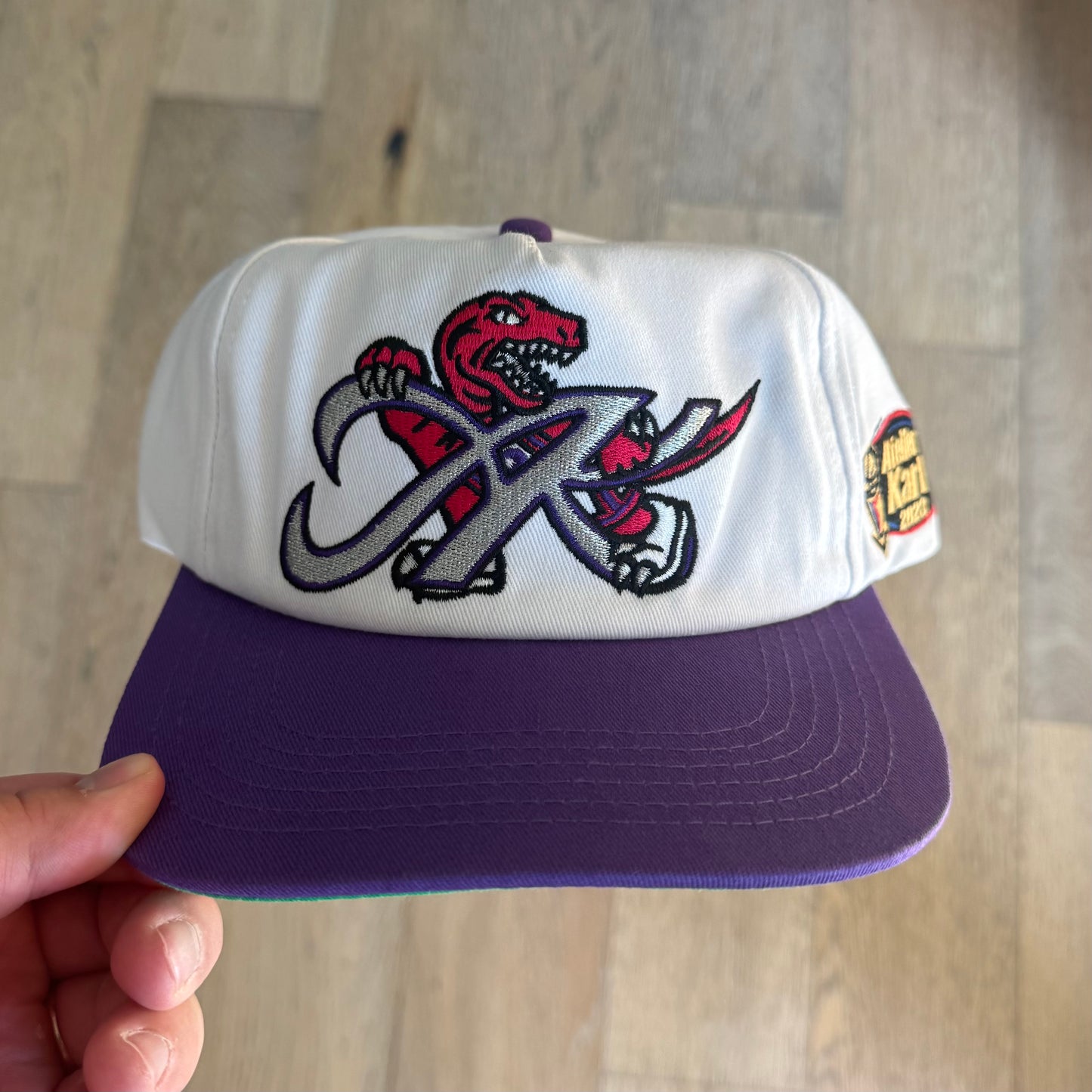 AK - Vintage Capsule - Raptors