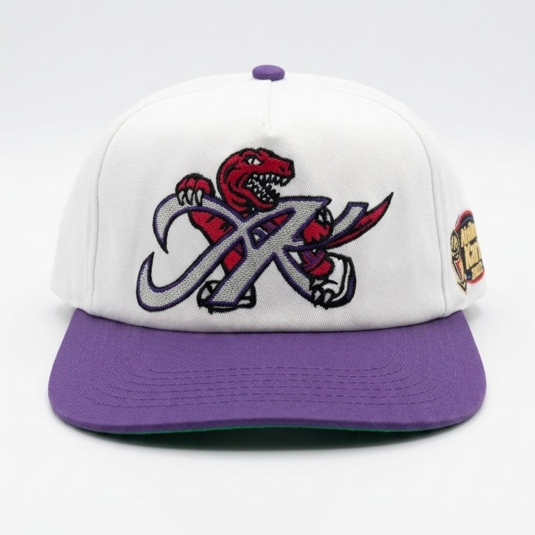 AK - Vintage Capsule - Raptors